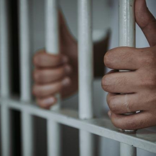 Un recidivist a fost arestat pentru furt de 425 de euro dintr-o locuință