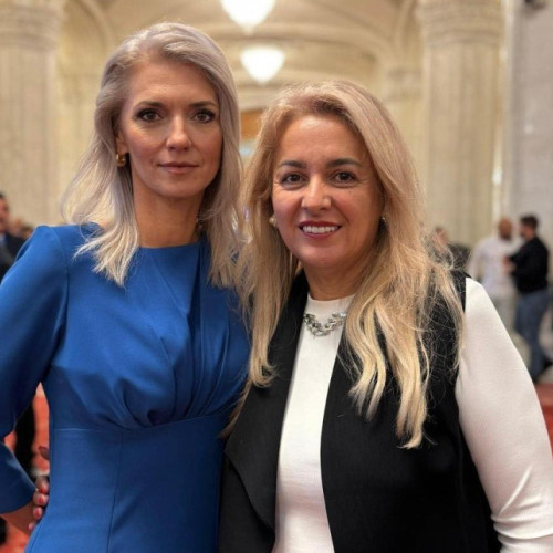 Geanina Pistru intră în comisia specială „România fără violență”