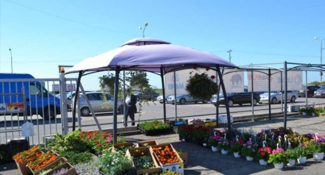 Primăria Arad a stabilit locurile pentru comerţul cu flori de Ziua Morţilor