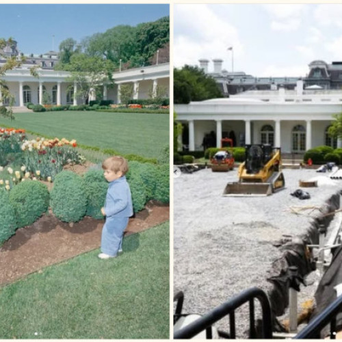 Jack Schlossberg critică dur demolarea Grădinii de trandafiri de la Casa Albă de către Donald Trump