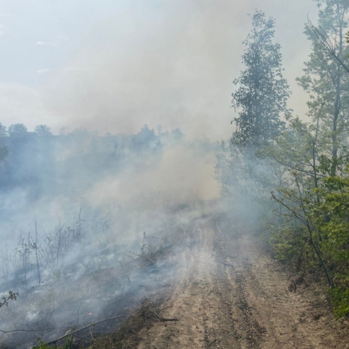 Flăcări de vegetație uscată între Dulcele și Zimbru, localnici în alertă