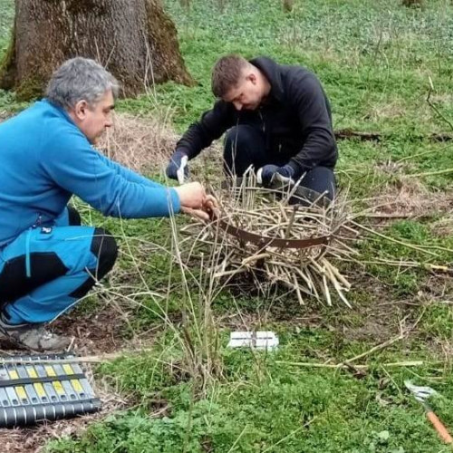 Cuiburi pentru păsări montate în Parcul Natural Lunca Mureșului pentru a spori populația avifaunistică