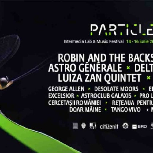 Particles anunță programul complet pentru cele trei zile de festival (14-16 iunie, Parcul Micălaca din Arad)